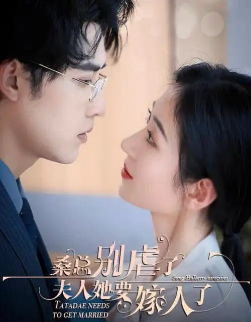 天启影视-新品 月牙巷往事